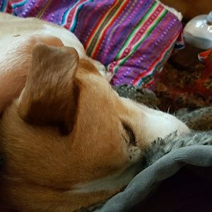 Meet your Posher, Cathy