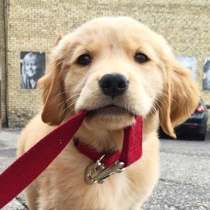 Meet your Posher, Beth