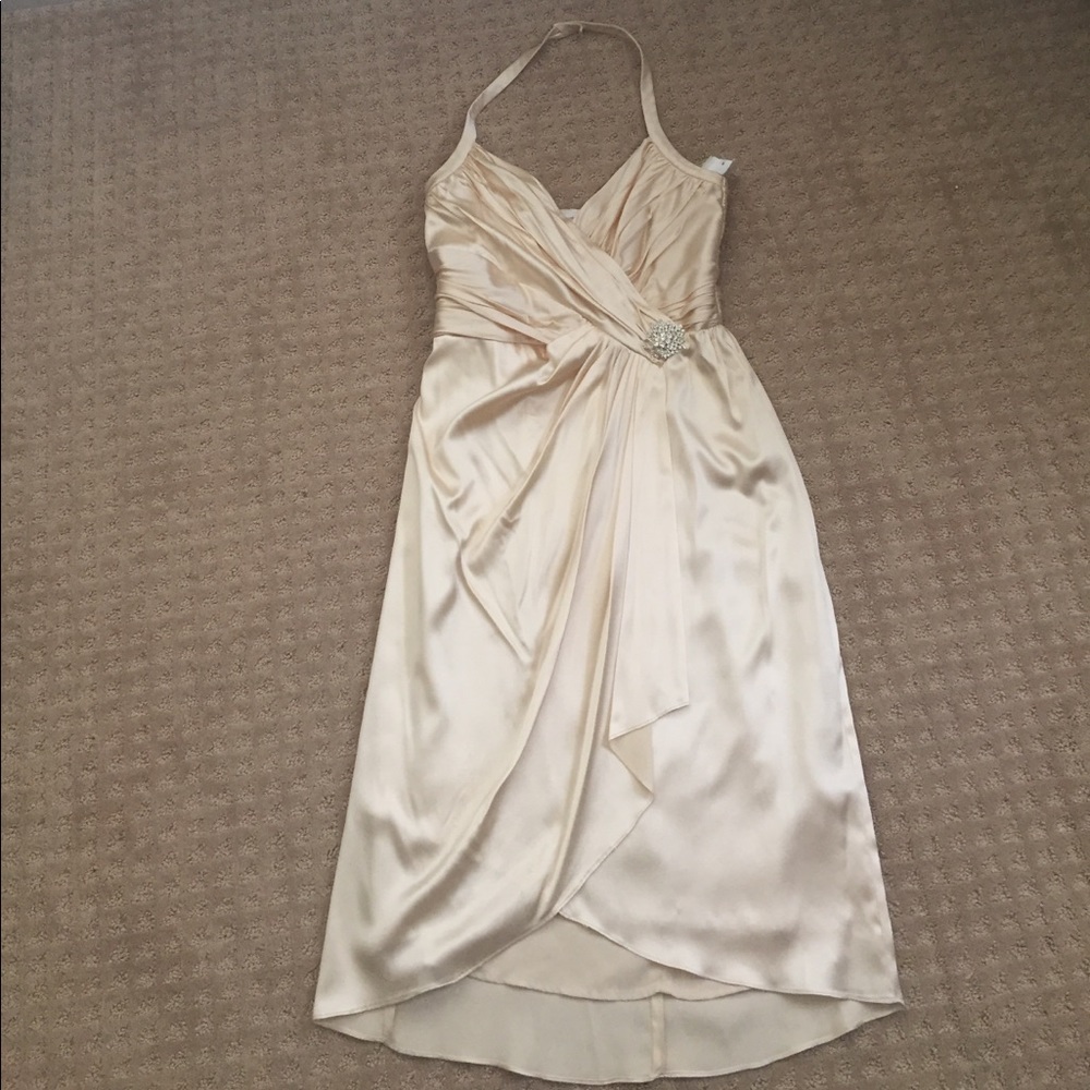 NWT Suzi Chin dress