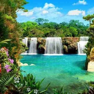 Meet your Posher, Diana