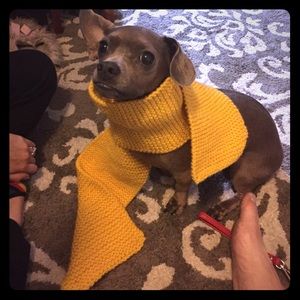 Junior, infant or puppy scarf