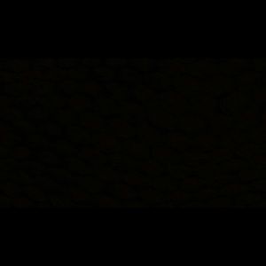 Meet your Posher, Donovan