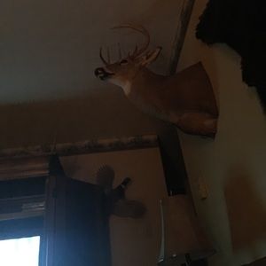 Meet your Posher, Cheryl