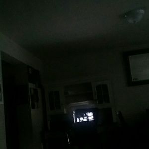 Meet your Posher, Leo