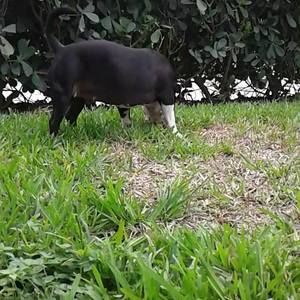 Meet your Posher, Jarrad