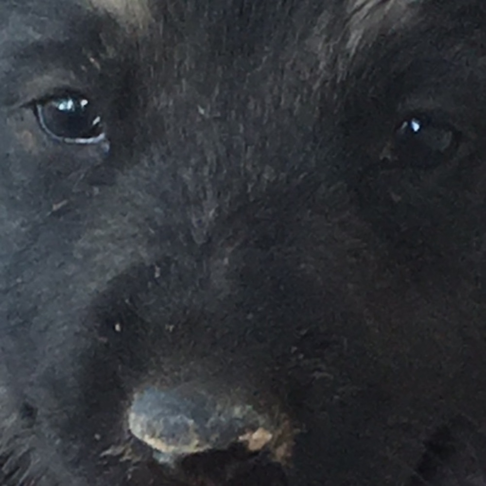 Meet your Posher, Bryan