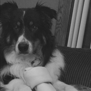 Meet your Posher, Kylie