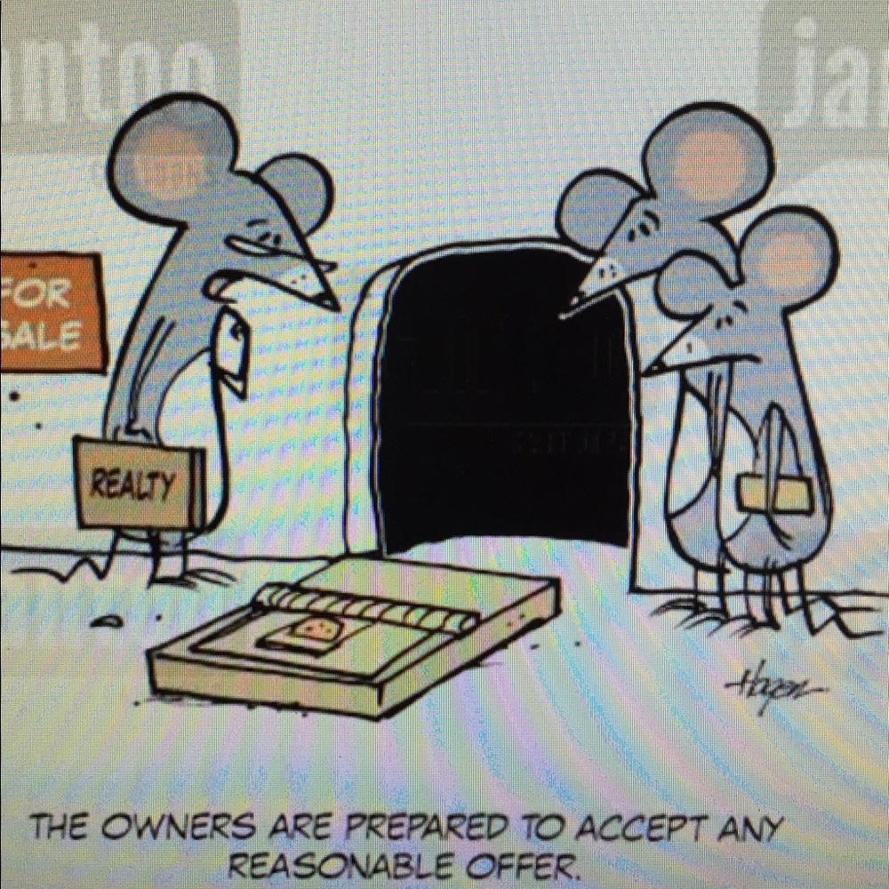 All offers accepted !