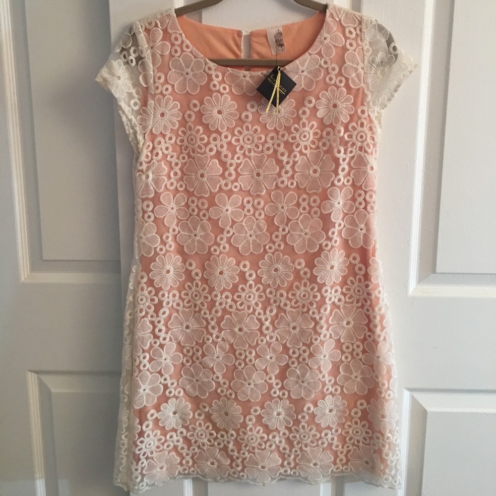 Francesca's pink white lace shift dress