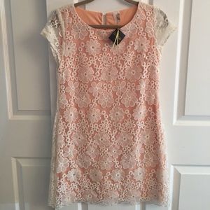 Francesca's pink white lace shift dress