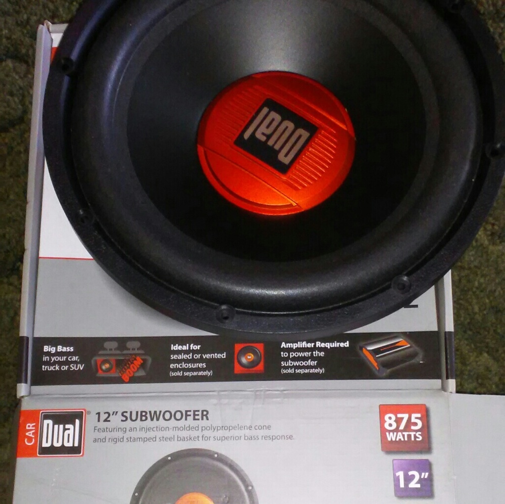 Dual 12" subwoofer