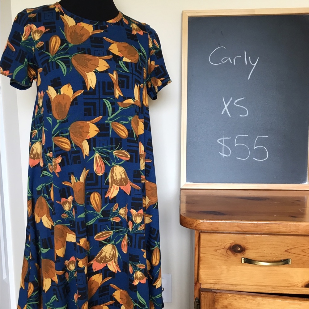 LuLaRoe Carly dress size xs