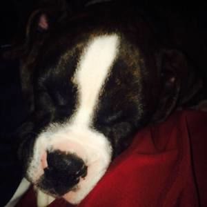 Meet your Posher, Tyler