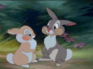 Meet your Posher, Sheyla