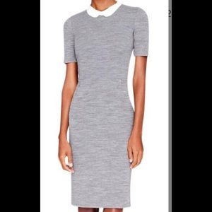 Jcrew new gray dress with white Peter Pan collar