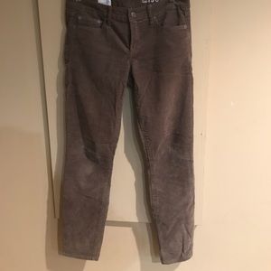 GAP cords pants
