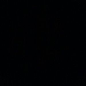 Meet your Posher, Danny