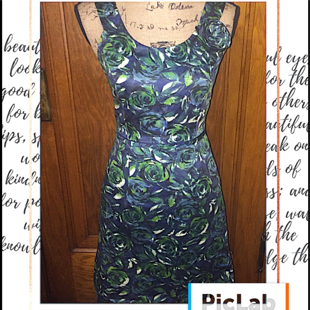 🎉HP 🎉 Ann Taylor Loft Sheath Dress 👗. Size 0