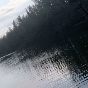 Meet your Posher, Sheikha