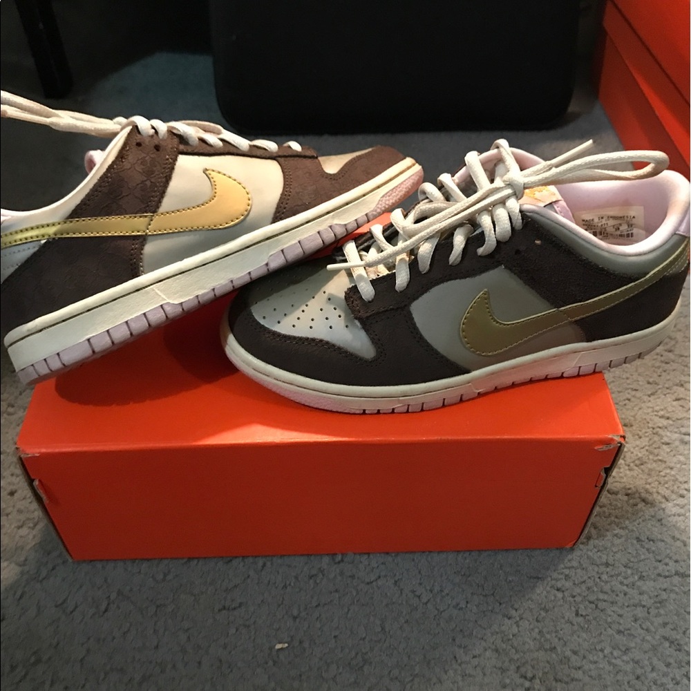 Like New Brown/Gold/Silvet Nike Dunks