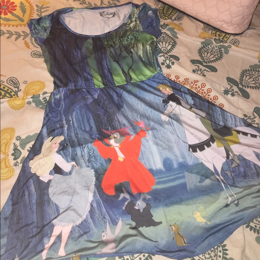 👑 Disney Sleeping Beauty Skater Dress 👑