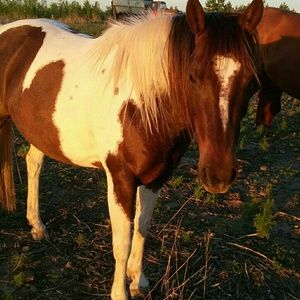 Meet your Posher, Becky