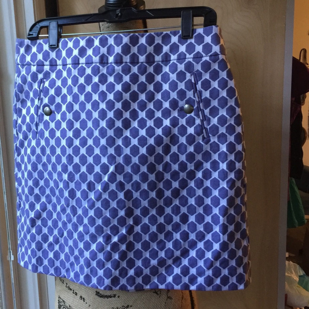 Ann Taylor skirt
