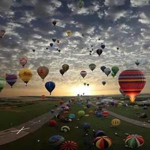 Meet your Posher, Alan