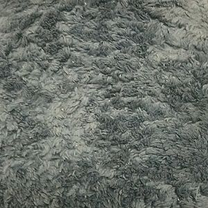 Meet your Posher, Carly