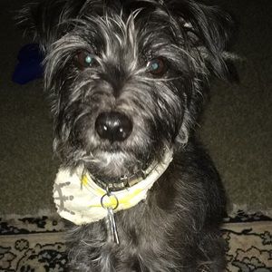 Meet your Posher, Kyle