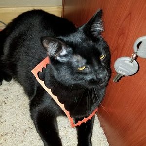 Meet your Posher, Chrisy