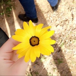 Meet your Posher, Shayla