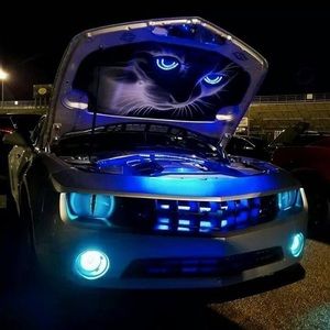 Meet your Posher, Israel