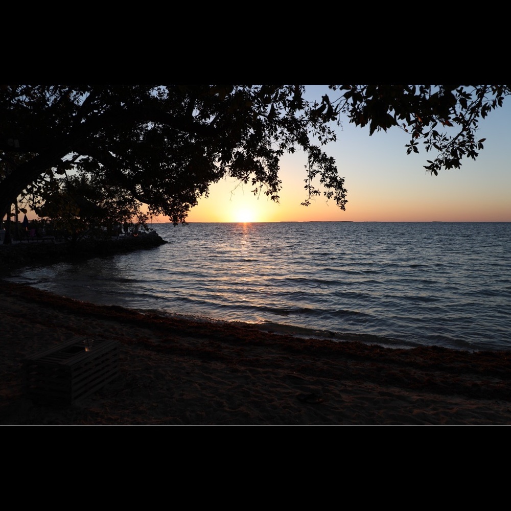 Meet your Posher, Huma