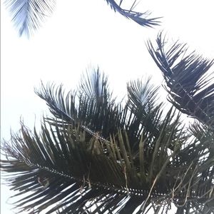 Meet your Posher, Shakia