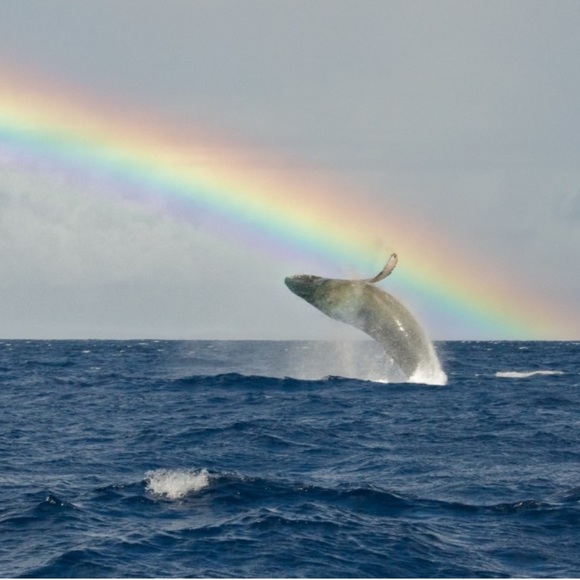 POSH AMBASSADOR/5.5 YEAR TOP SELLER/15X PARTY HOST - Picture 5 of 6