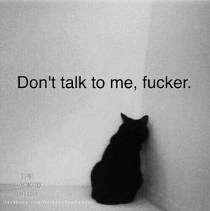 Meet your Posher, Jeff