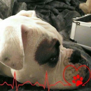 Meet your Posher, Carla michelle