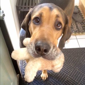 Meet your Posher, Marie