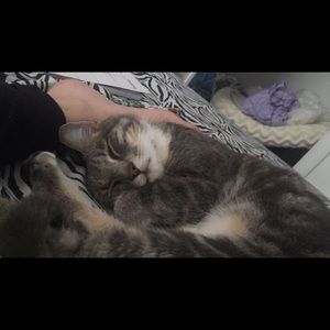 Meet your Posher, Kendra