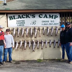 Meet your Posher, Jay