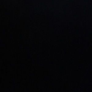 Meet your Posher, Leo