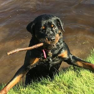 Meet your Posher, Kim