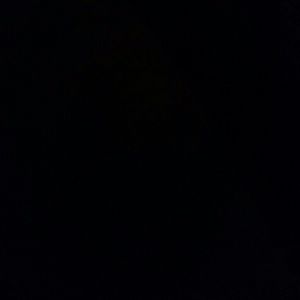 Meet your Posher, Nikole