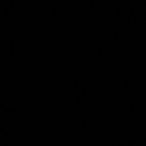 Meet your Posher, Syntheia