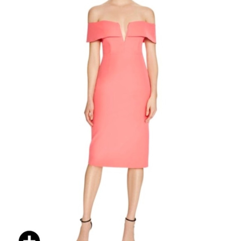 Bardot dress Sz med (8)