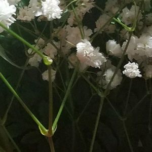 Meet your Posher, Beverly