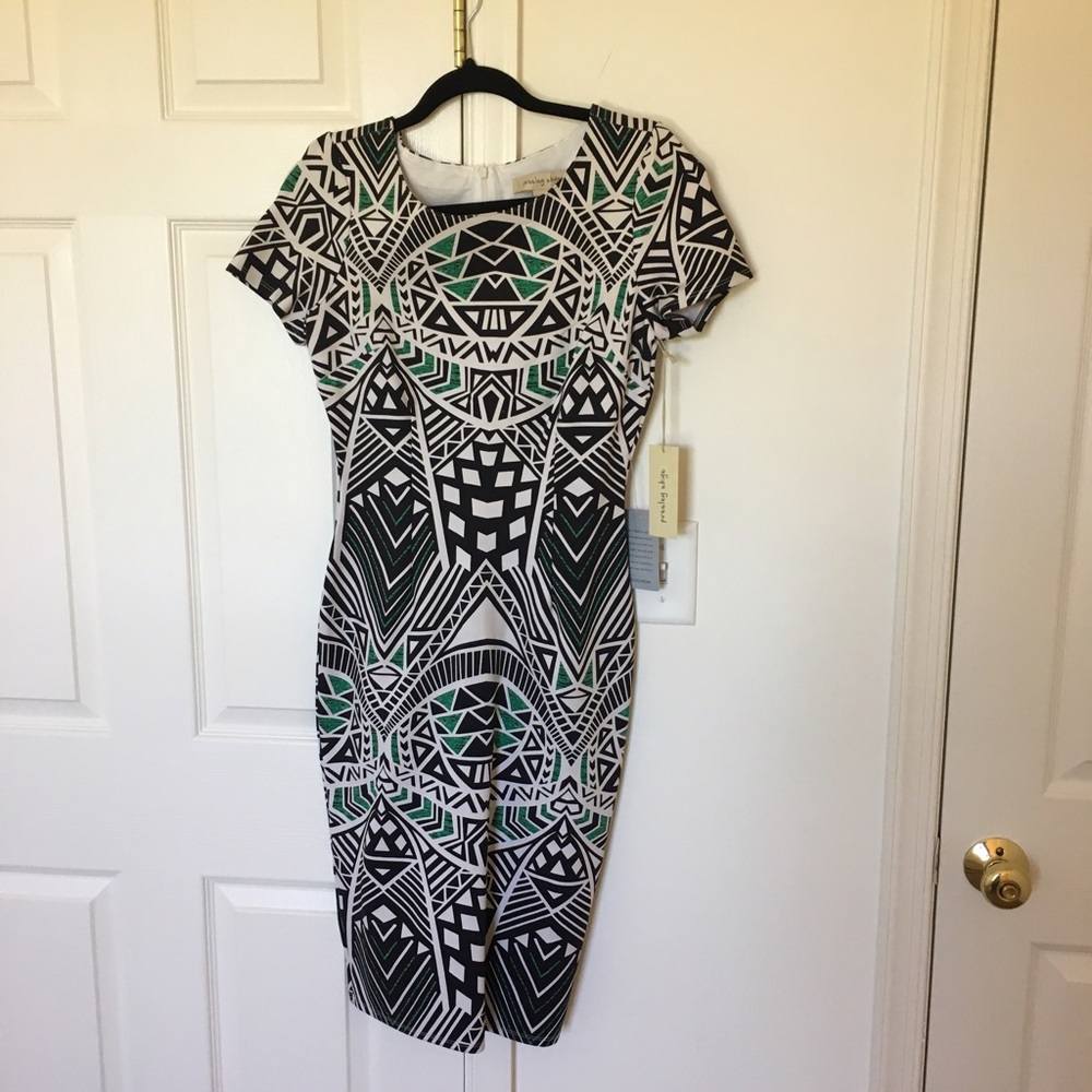 NWT Presley Skye Tribal Dress M