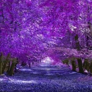 Meet your Posher, Jeanine