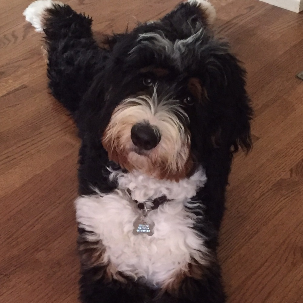 Meet your Posher, Natalie